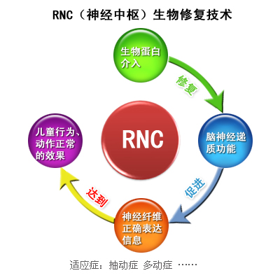 数字NTR神经功能靶向调控疗法